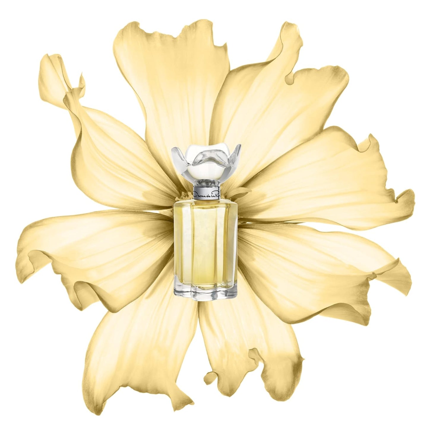Esprit D'Oscar