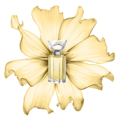 Esprit D'Oscar